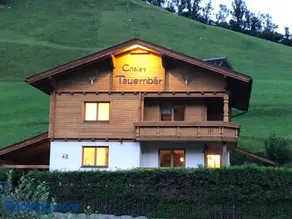 Chalet Tauernbär - Image 3