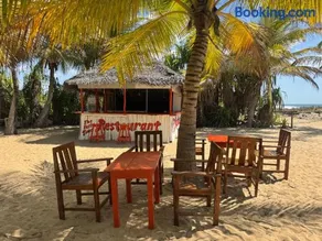 The Tasty Tuna Cabana - Image 2