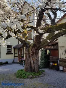 Ferienwohnung Zum-alten-Kirschbaum - Image 1