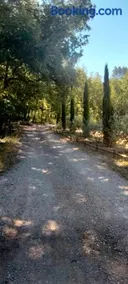 La cabane en bois - Image 2
