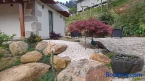 Quinta da Vinha do Souto - Image 3
