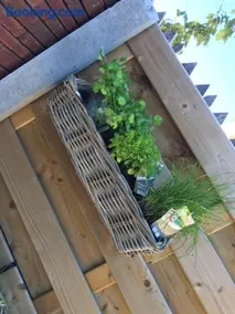 Vakantiewoning Petit Watou - Image 1
