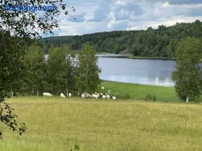 Annies Hus - Image 3