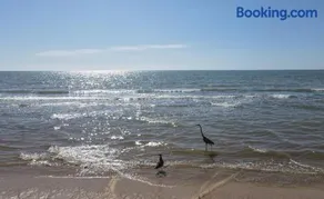 KC-1 - Beachfront - Walk to Malecon - Image 1