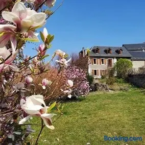 ''Mon Chez Moi'' - Image 1