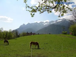 Bachbauernhof - Image 3