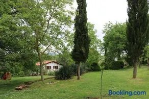 Boscodisotto - Image 4