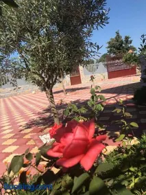 beautiful villa near to the beach - Image 5