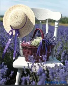 Grange Voutée avec jardin - Image 2