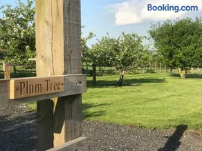 Plum Tree Lodge Set in 2 acres of Private Land - Image 3