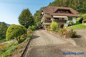 Haus Schindler - Image 1