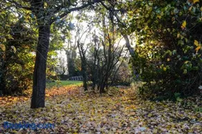 La Tireliere, longère bord de mer avec jardin - Image 2