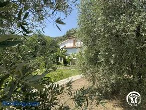 Ribelles - Image 3