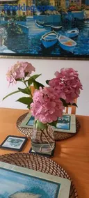 Las Tres Mimosas - Image 1