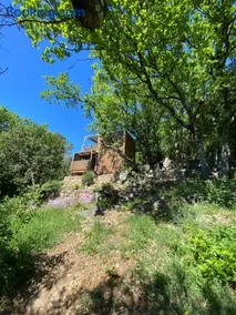 Tiny House en lisière de forêt - Image 1