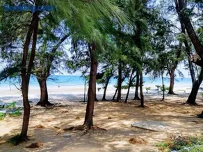VIP CONDO RAYONG 343 - Image 3