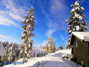Soltoppen - cozy 3 bedroom cabin close to Norefjell - Image 2