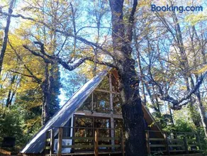 Cabañas bosque sur - Image 4