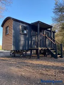 Bluebell Wood Shepherds Hut Cosy Woodland Retreat - Image 4