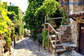 Albero Maestro on Bussana seaside - Image 2