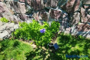Beautiful & Cozy one Bedroom Apartment near Boston & Airport - Image 5