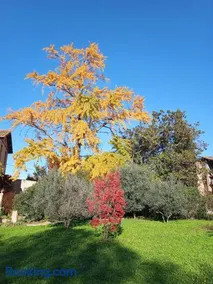 Terrasse sur la rivière - Image 3