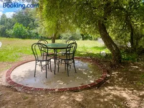 La mimosa - Image 2
