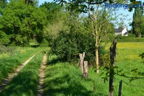 Chambres sur une ile de la Loire - Image 3