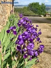 Manoir de Rieuzal - Image 1