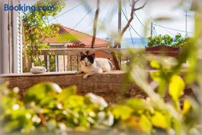 Lucy's Home - Image 1