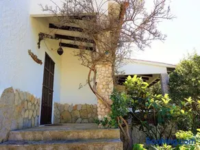 Finca La Siesta - Villa in Betlem, Mallorca - Image 2