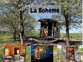 La Bohème aux wallabies - Image 2