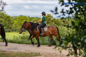 Le Bosquet des Dômes - Panorama des Puys à Cheval - Image 3