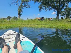 Lakefront w Fire Pit, Lake Fun, and Horse Feeding - Image 3