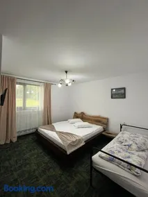Casa Seliana Spa de Bucovina cu piscina - Image 2