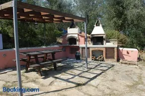 Il Pino - Image 4