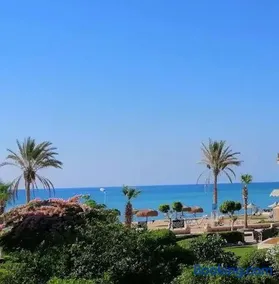 الياسمين - Image 2