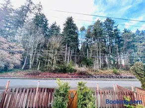 MountForest - Image 4