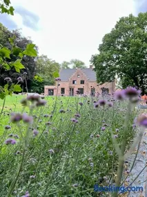 Vakantiewoning Domein Hooverbosch - Image 2