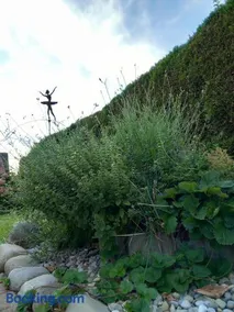 Large house with large garden - Image 5