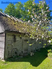Aaviku Holiday Houses - Image 2
