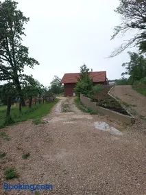 Les terrasses de la loue au domaine de Tara - Image 2
