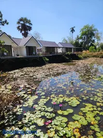 The Duck Cafe and Resort - Image 2
