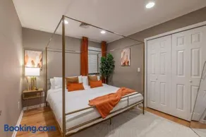 The Orange Oasis - Image 5