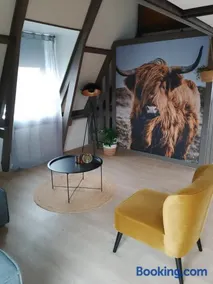 Vakantieverhuur Noordwolde - Image 5