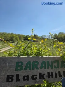 Baranja Black Hill's - Image 4