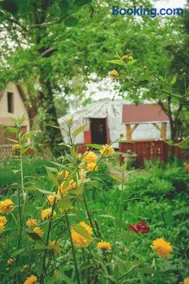 Jurta Debrecen - Image 2