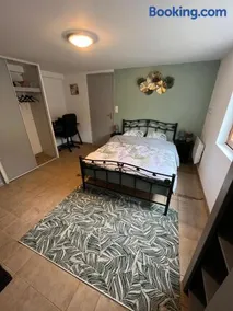 Logement paisible en bord de Vienne - Image 1