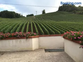 La Loge Du Vigneron - Image 1