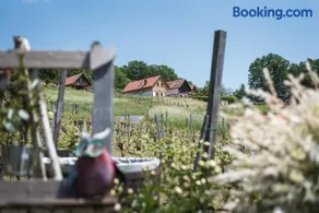 Kellerstöckl Uhudlerei 39 - Image 2